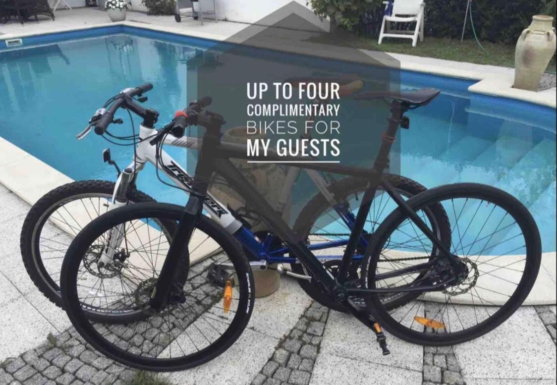 B Our Guest At New Flat Nearby Dresden !!!pool!!! Frauendorf (Oberspreewald-Lausitz)